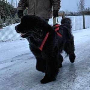 Meet your Posher, Barbara